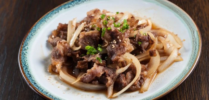 Boeuf à l’oignon taille L